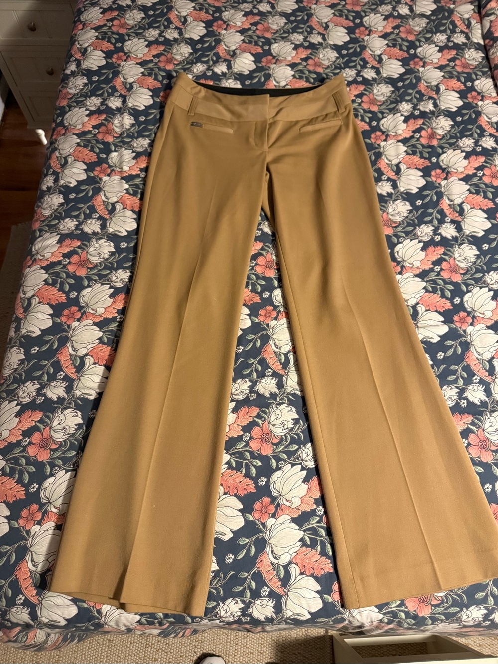 Express Editor Stretch Bootcut Pants in Camel